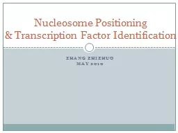 Zhang Zhizhuo May 2010 Nucleosome