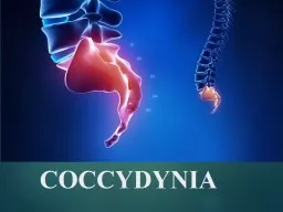 COCCYDYNIA  Coccydynia is pain felt in the area of the coccyx, or tailbone. The coccyx