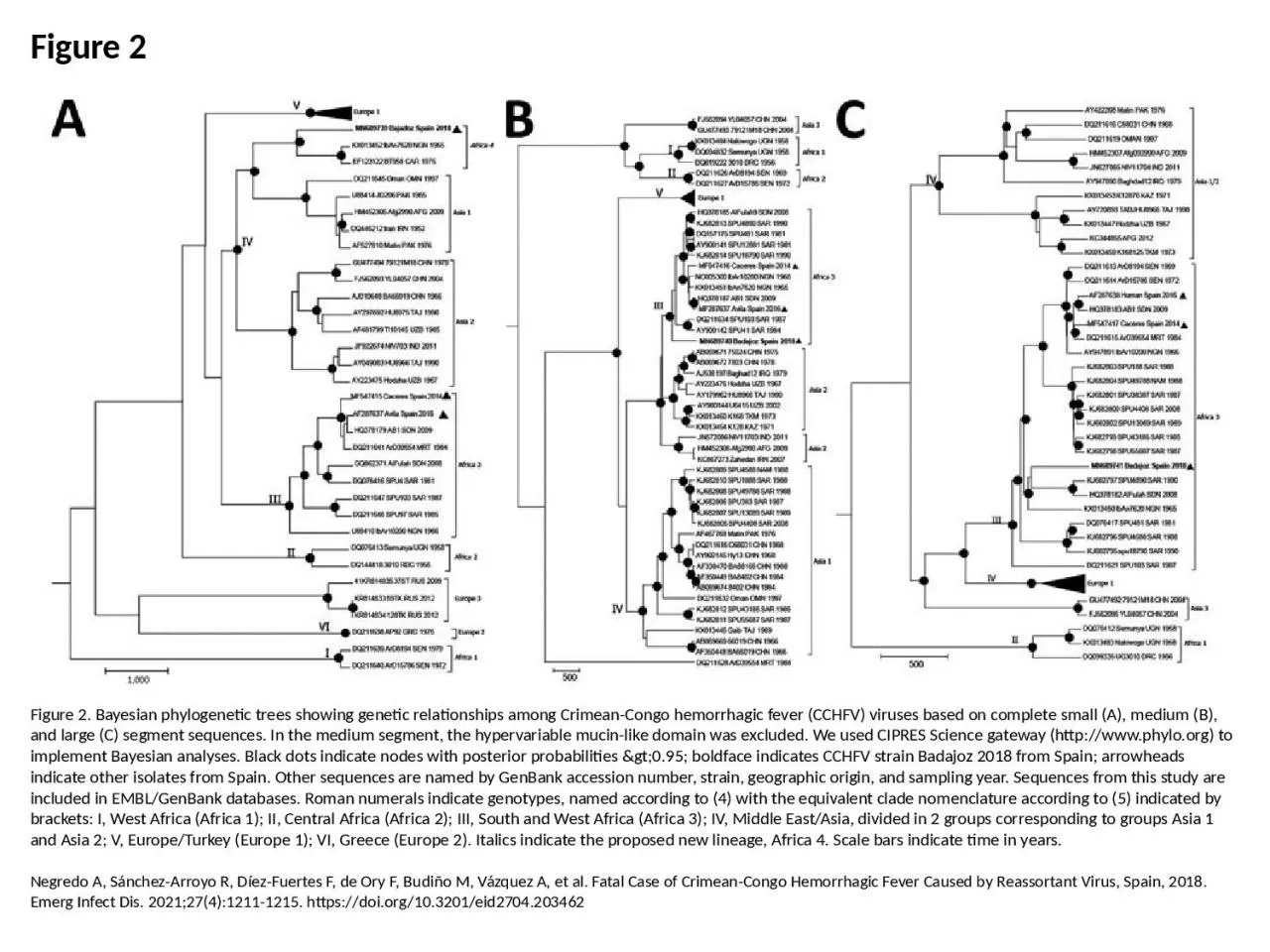 Figure 2 Figure 2. Bayesian phylogenetic trees showing genetic relationships among Crimean-Congo