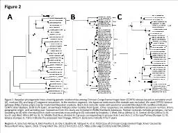 Figure 2 Figure 2. Bayesian phylogenetic trees showing genetic relationships among Crimean-Congo
