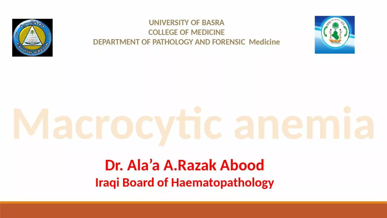 Macrocytic anemia UNIVERSITY OF BASRA