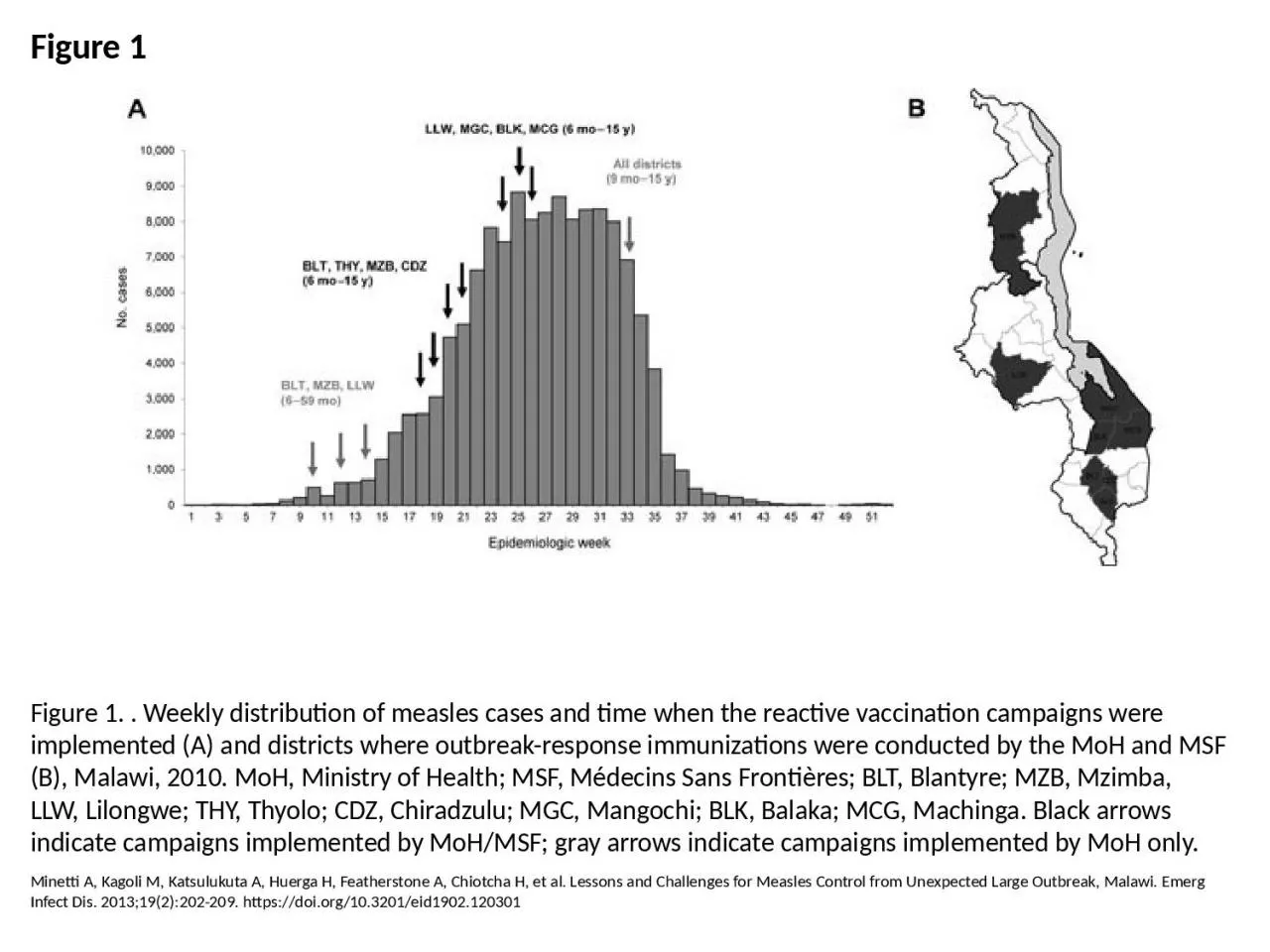 PPT-Figure 1 Figure 1. . Weekly distribution of measles cases and time when the reactive vaccination