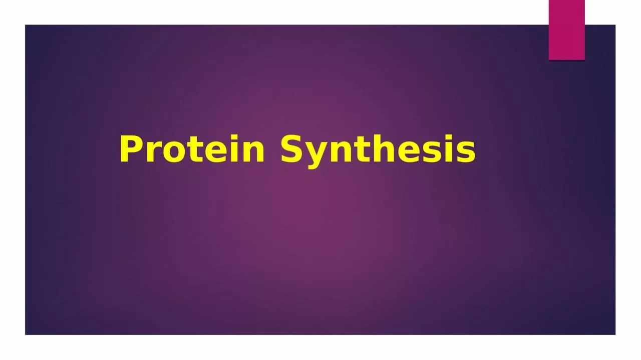 Protein Synthesis Transcription