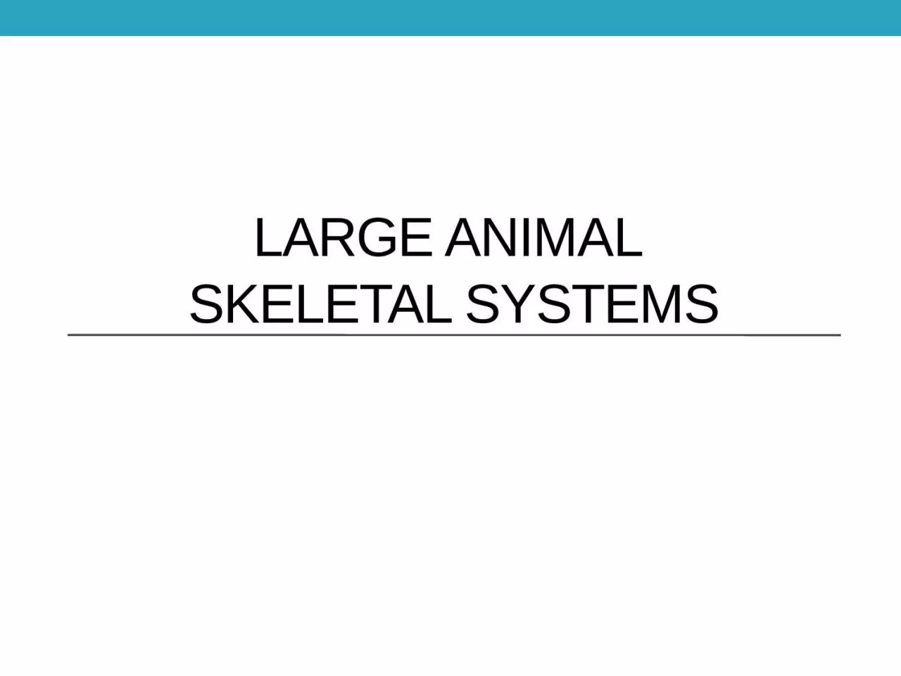 PPT-Large Animal Skeletal Systems