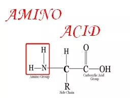 AMINO ACID A protein molecule consists of one or more long