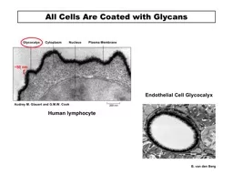 All Cells Are Coated with Glycans