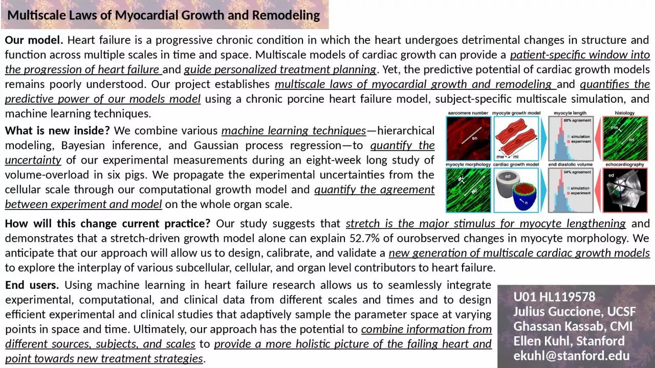 PPT-Multiscale Laws of Myocardial