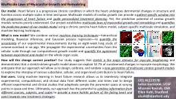 Multiscale Laws of Myocardial