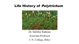 Life History of  Polytrichum