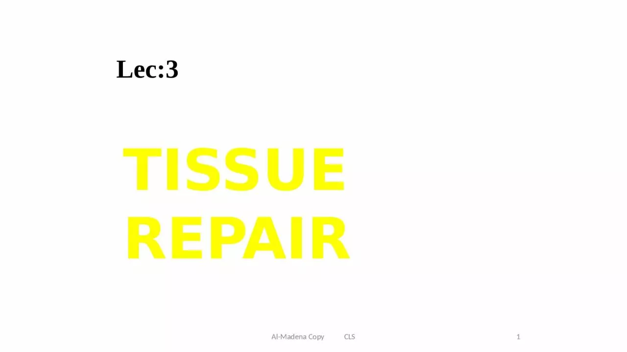 PPT-TISSUE REPAIR Lec:3