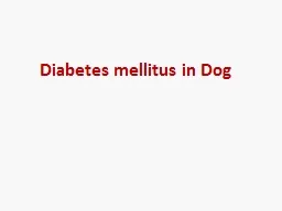 Diabetes mellitus in Dog