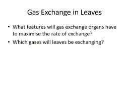 Gas Exchange in Leaves What features will gas exchange organs have to maximise the rate
