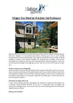 6 Signs You Need an Outdoor Cat Enclosure