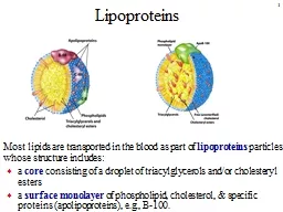 1 Lipoproteins Most lipids are transported in the blood as part of