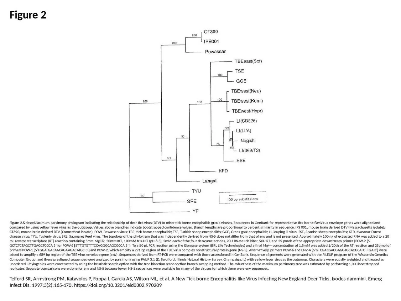 PPT-Figure 2 Figure 2.&nbsp;Maximum parsimony phylogram indicating the relationship of