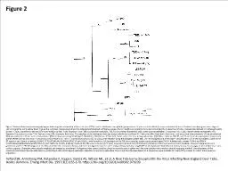 Figure 2 Figure 2.&nbsp;Maximum parsimony phylogram indicating the relationship of deer tick vi