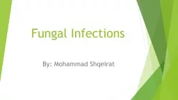 Fungal Infections     By: Mohammad Shqeirat