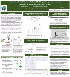 PPT-Analysis of Arabidopsis thaliana