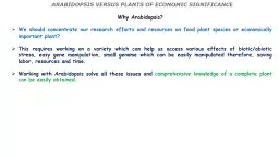 PPT-ARABIDOPSIS VERSUS PLANTS OF ECONOMIC SIGNIFICANC