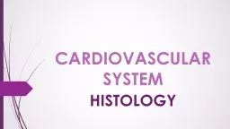 CARDIOVASCULAR SYSTEM HISTOLOGY