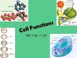 Cell Functions TEK 7.4E, 7.12F