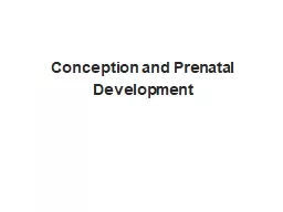 Conception and Prenatal Development