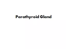 Parathyroid Gland The parathyroid glands are