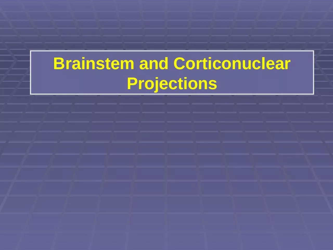 PPT-Brainstem and Corticonuclear