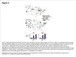 Figure 2 Figure 2.&nbsp;Geographic distribution of (A) human (including 5 formalin-fixed