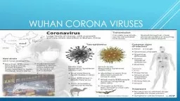 Wuhan corona viruses