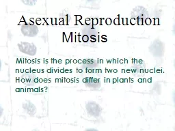 1 1 Asexual Reproduction