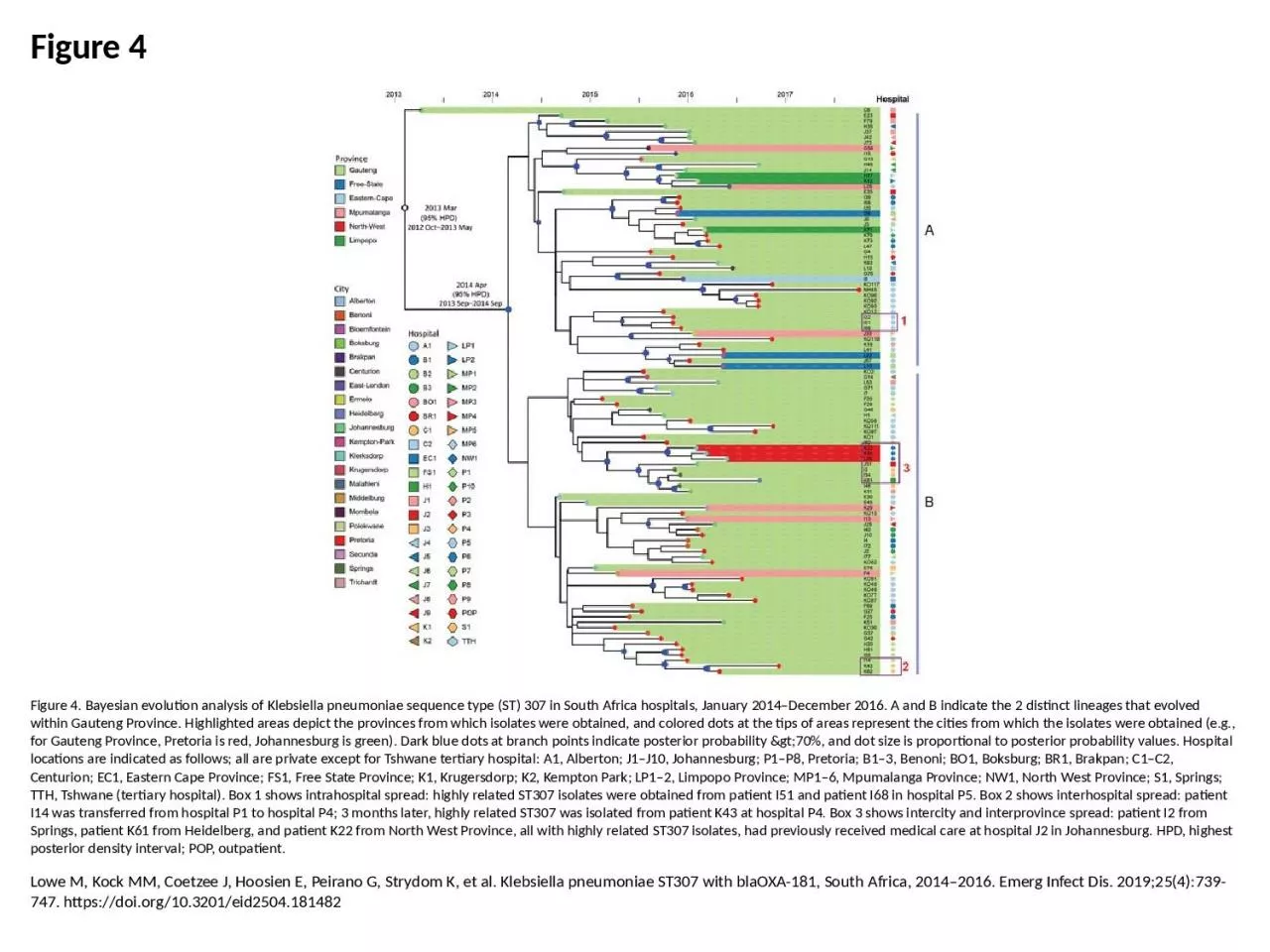 PPT-Figure 4 Figure 4. Bayesian evolution analysis of Klebsiella pneumoniae sequence type