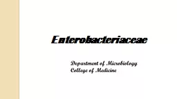Enterobacteriaceae General characters:
