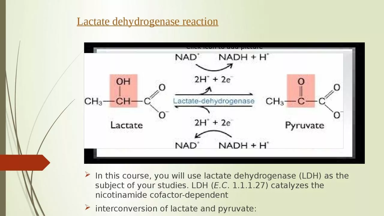 In this course, you will use lactate dehydrogenase (LDH) as the subject of