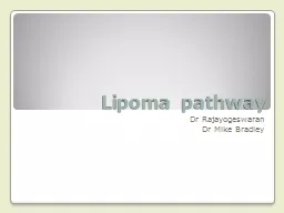 Lipoma pathway Dr Rajayogeswaran