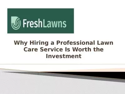 Why Hiring a Professional Lawn Care Service Is Worth the Investment
