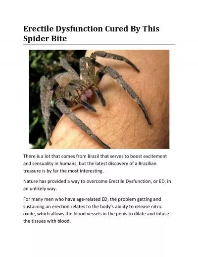 Erectile Dysfunction Cured By This Spider Bite