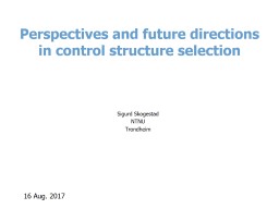 Perspectives and future directions in control structure selection