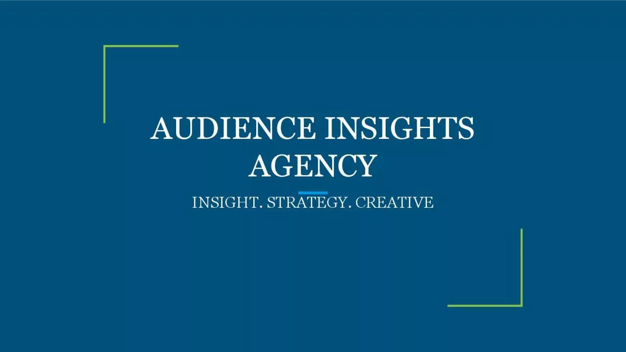 AUDIENCE INSIGHTS AGENCY