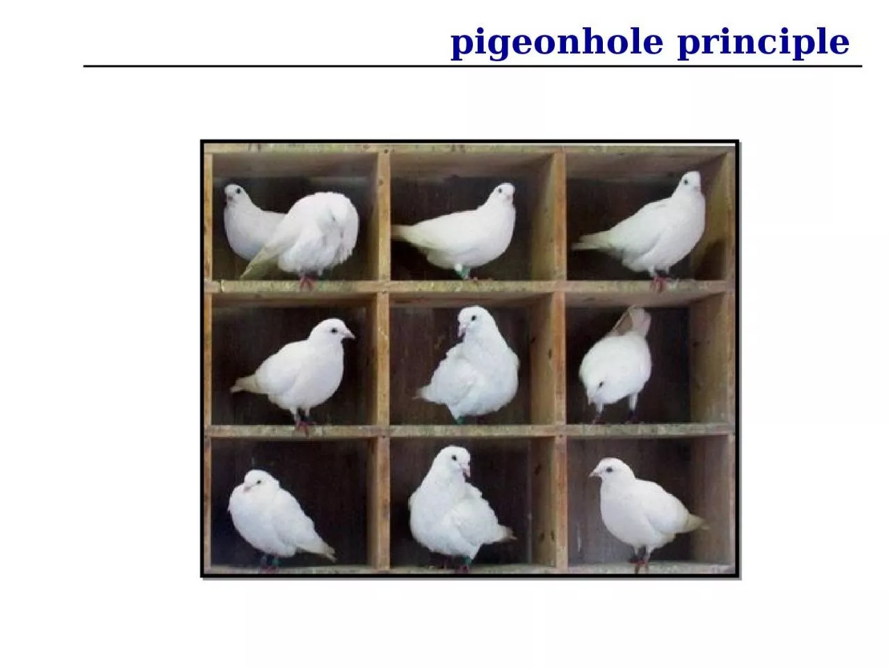 PPT-pigeonhole principle pigeonhole principle