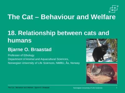 The Cat – Behaviour and Welfare