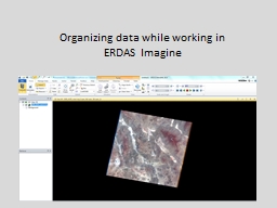 Organizing data while working in