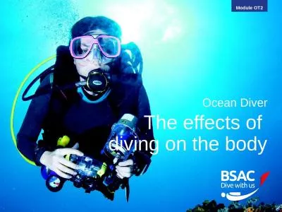 Ocean Diver The effects of