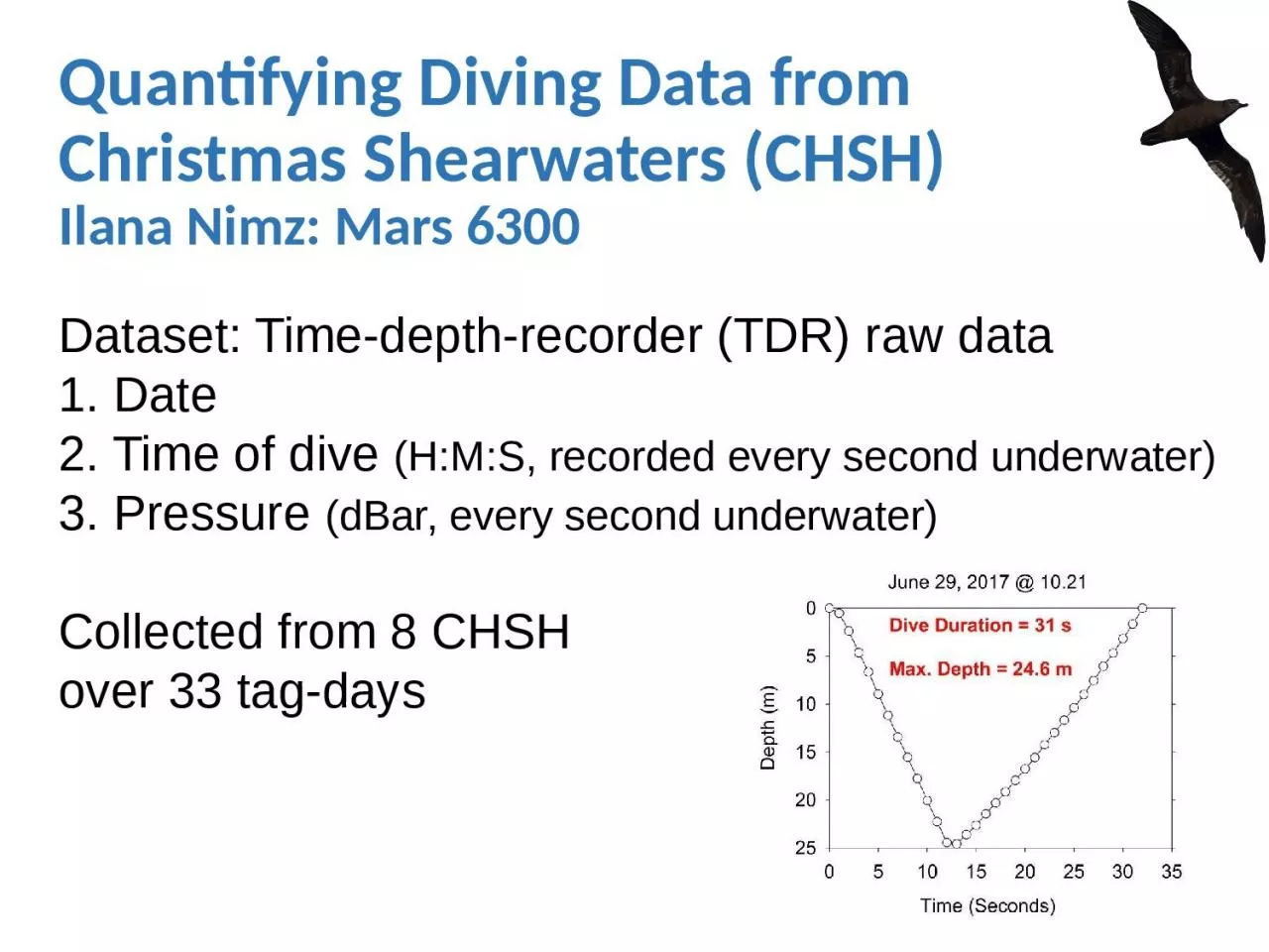 Quantifying Diving Data from