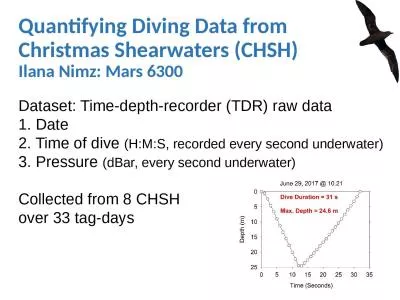 Quantifying Diving Data from