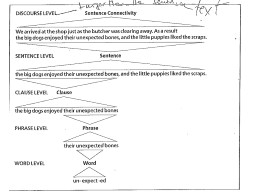 PPT-1 2 Phrases are larger structural units that come between the word and the clause