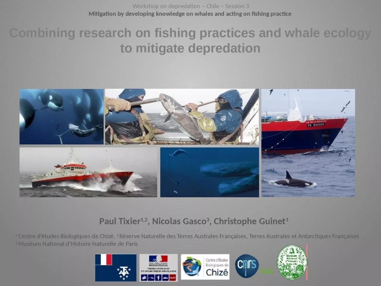 PPT-Combining research on fishing