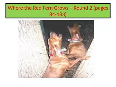 Where the Red Fern Grows – Round 2 (pages 84-183)