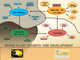 Plant Physiology Morphology