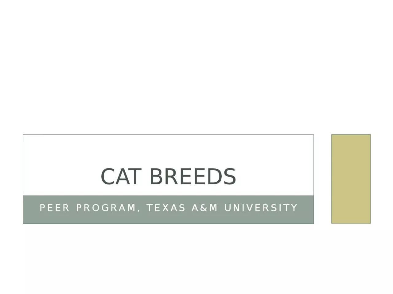 PPT-PEER Program, Texas A&M University